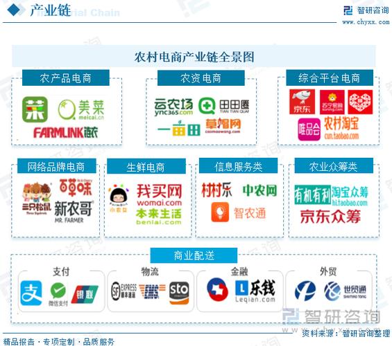 鄉村振興賦能農村電商，網絡零售額攀升背后的信息服務新動能